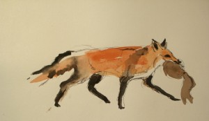 2010 Ilustrace zvířete, tuš a akvarel na papíře, 25 x 20 cm (5)
